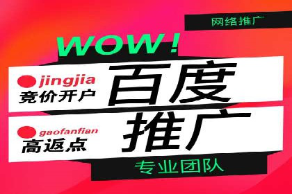 竞价开户推广实战案例精选
