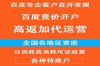 百度竞价包年服务：优化广告投放策略